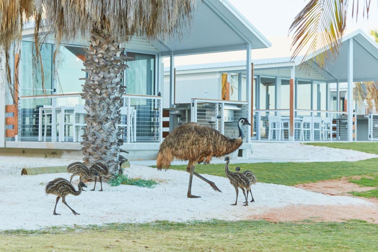 Rac Monkey Mia Dolphin Resort Экстерьер фото