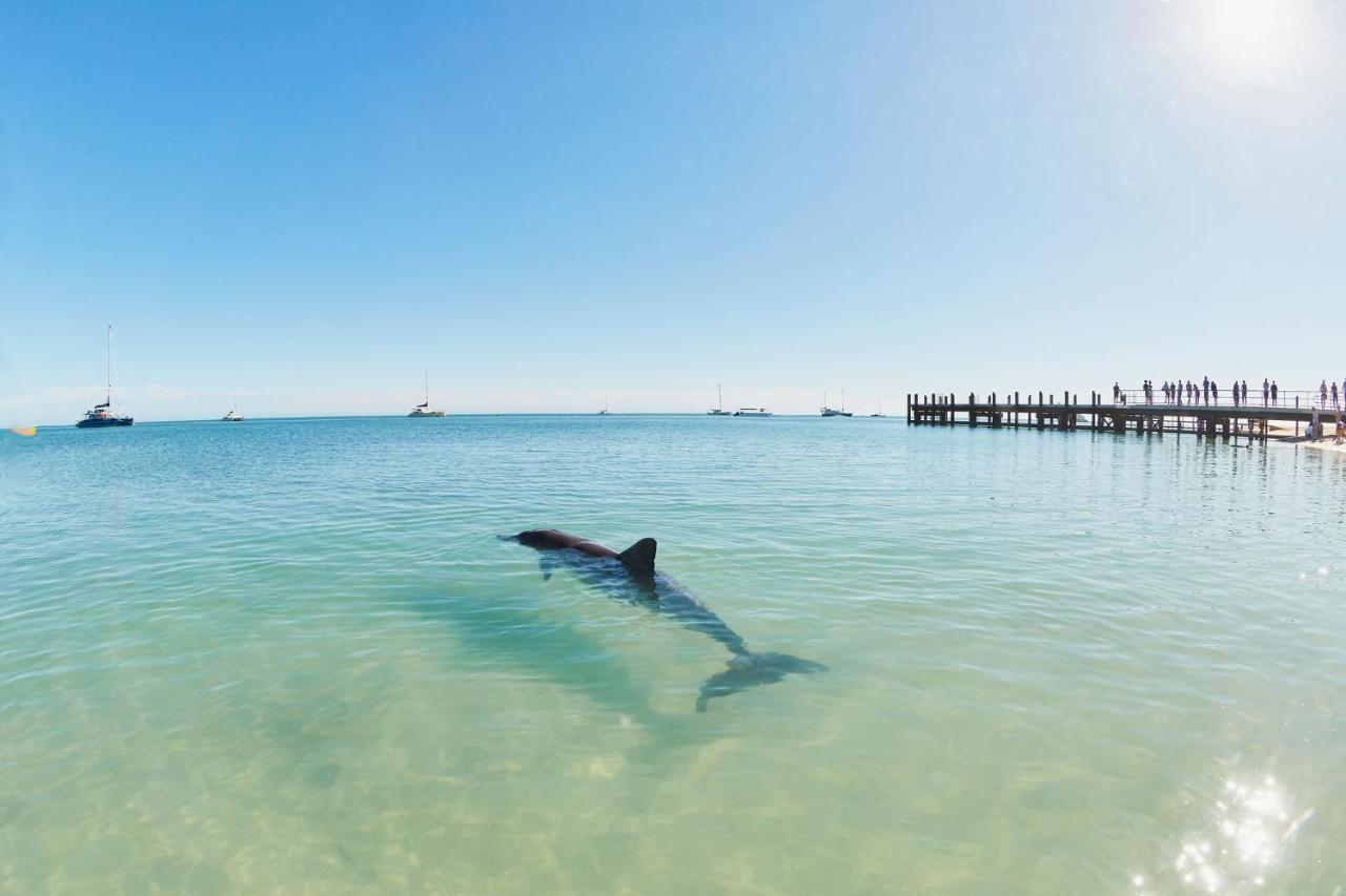 Rac Monkey Mia Dolphin Resort Экстерьер фото