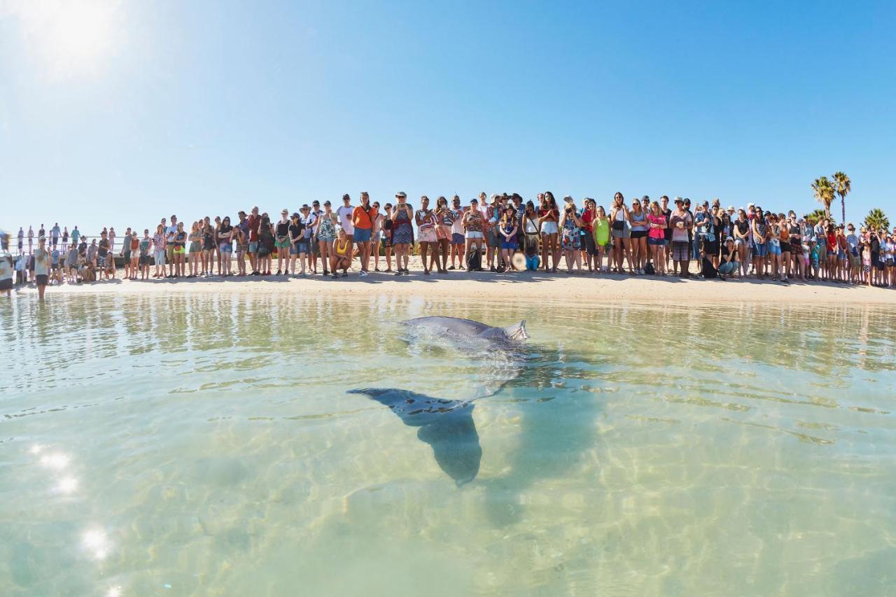 Rac Monkey Mia Dolphin Resort Экстерьер фото