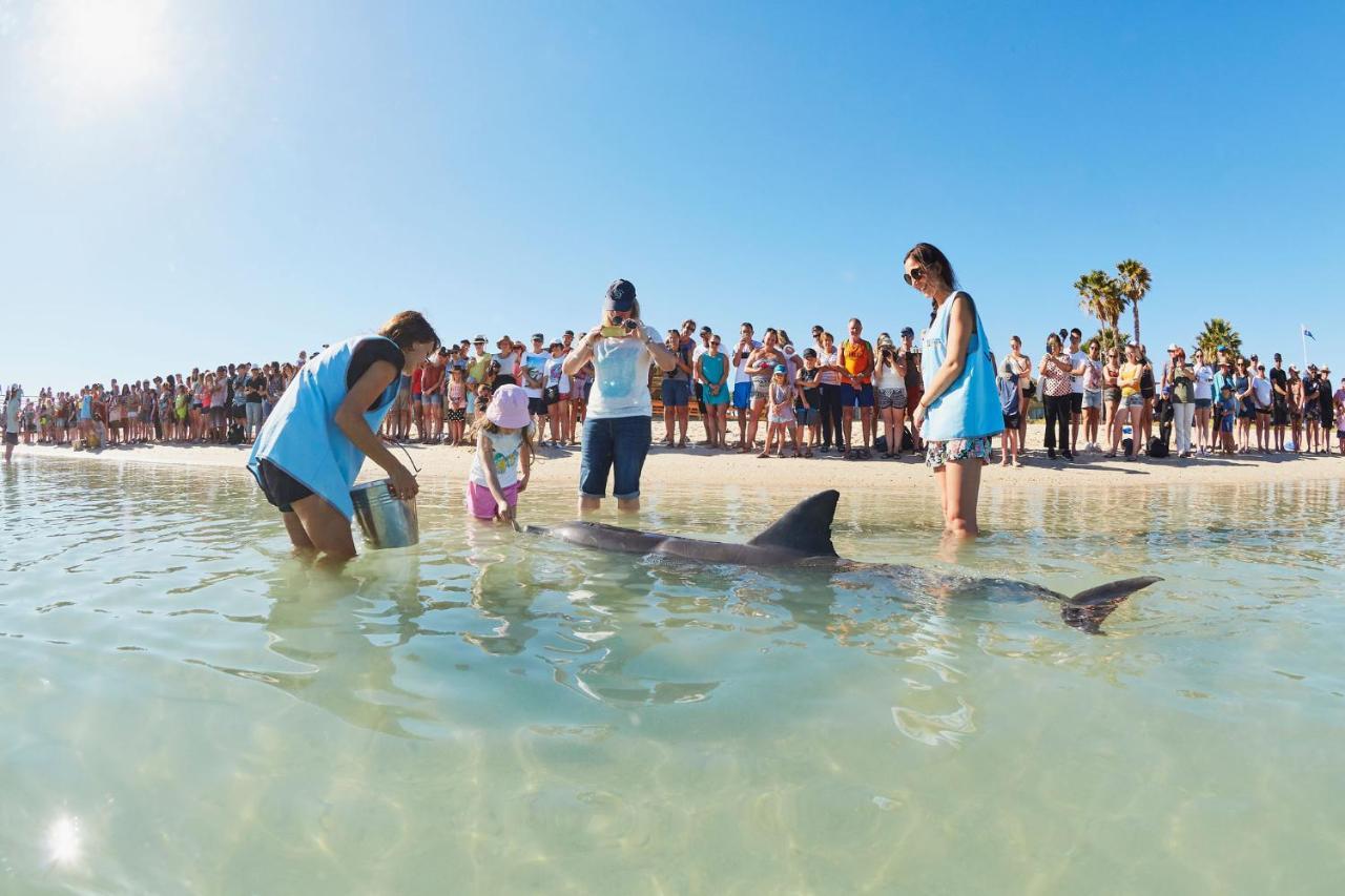Rac Monkey Mia Dolphin Resort Экстерьер фото